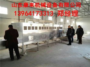 微波葡萄干殺菌設(shè)備 技術(shù)原理、優(yōu)勢與專業(yè)服務(wù)解析